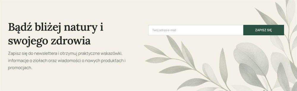 Zdrowitek: zapisuje się do newslettera